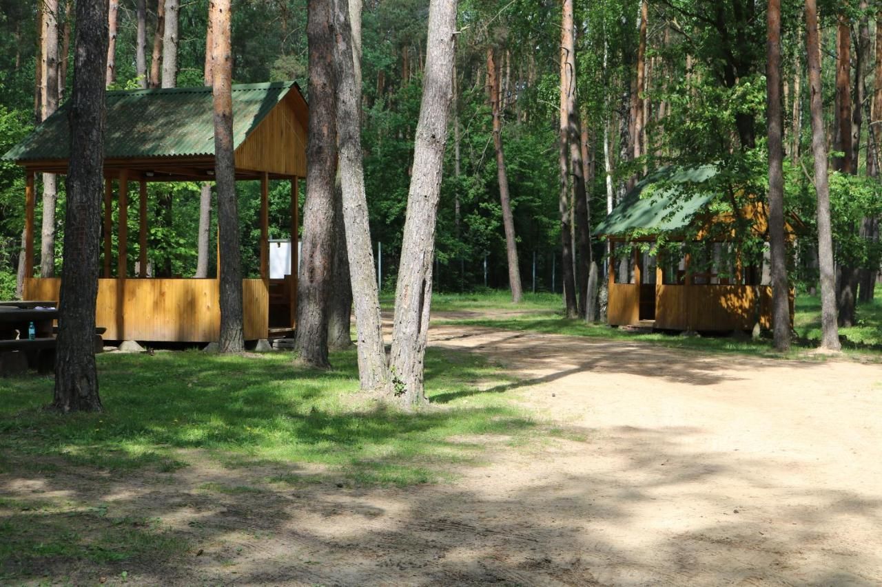 Гостевой дом Baza Otdikha Verbki Golynka-16