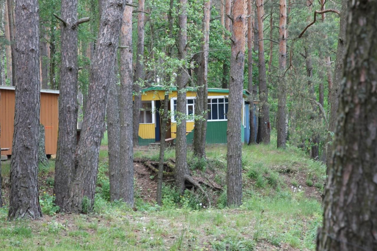 Гостевой дом Baza Otdikha Verbki Golynka-25