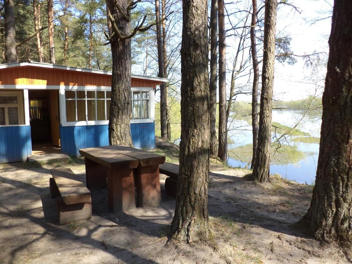 Гостевой дом Baza Otdikha Verbki Golynka